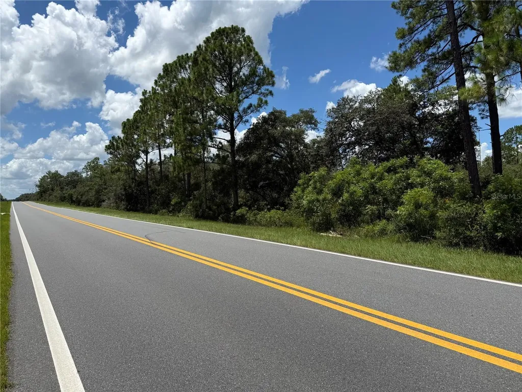 Fisher Road Ocklawaha FL 32179