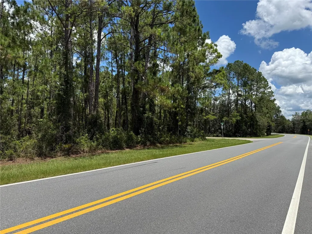 Fisher Road Ocklawaha FL 32179