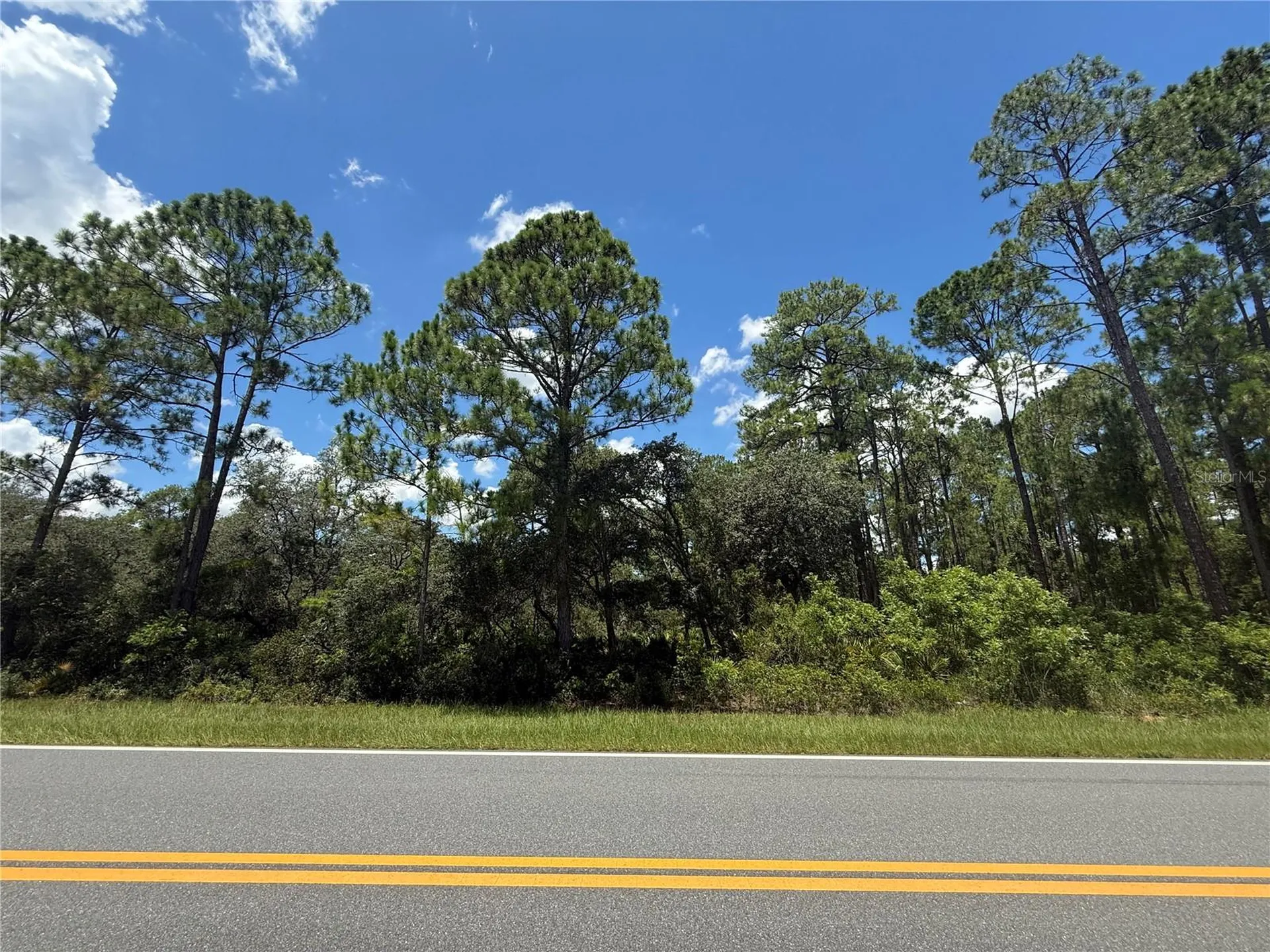 Fisher Road Ocklawaha FL 32179