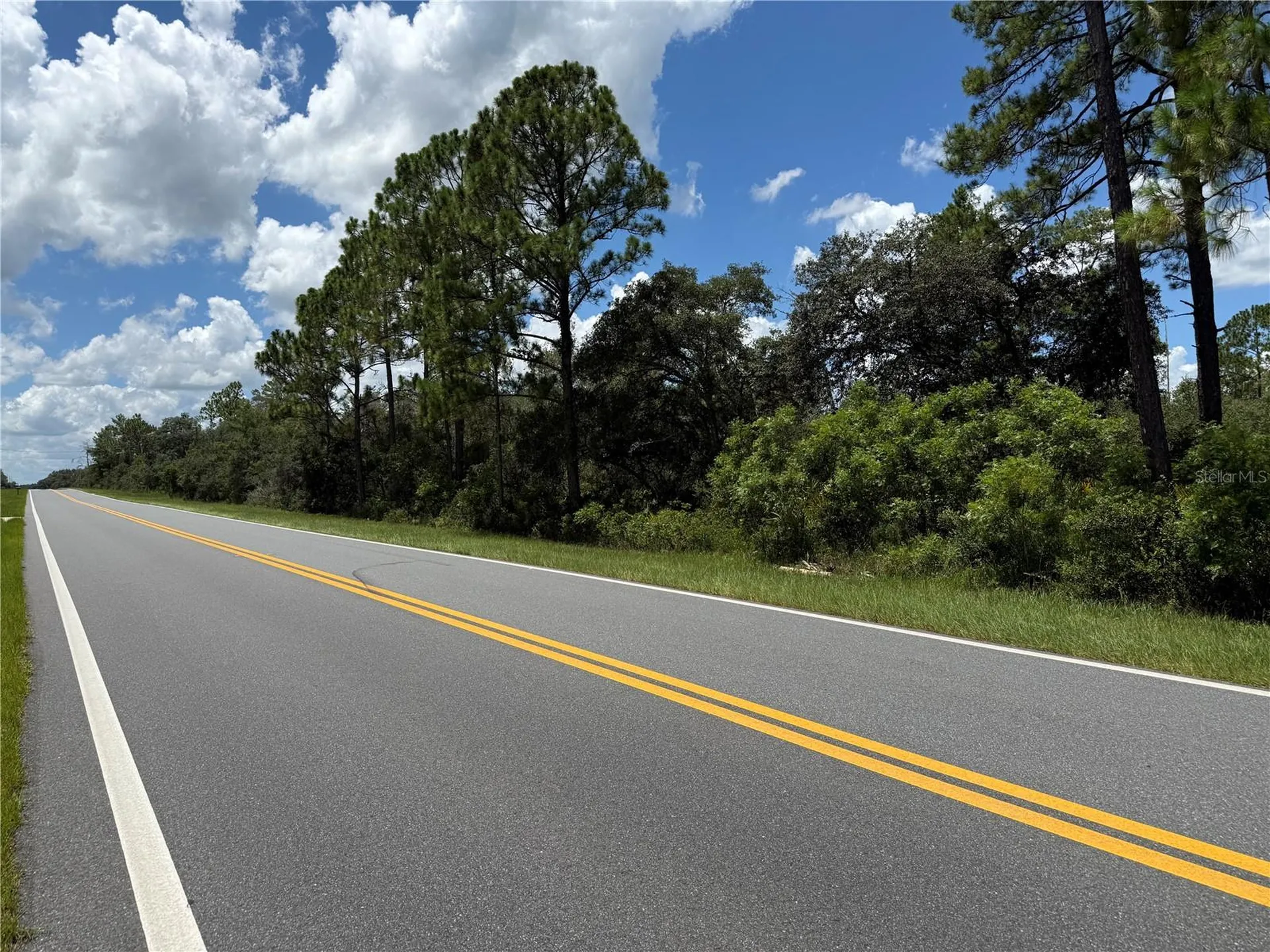 Fisher Road Ocklawaha FL 32179