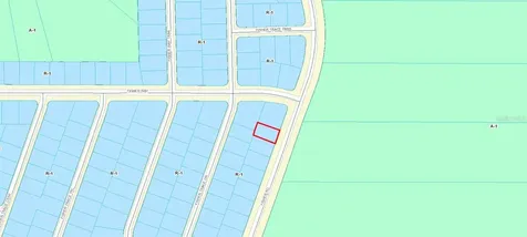 Fisher Road Ocklawaha FL 32179