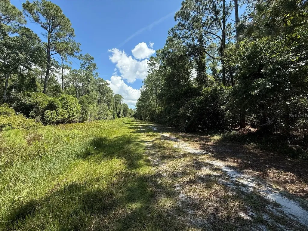 210 SE 2nd Street Georgetown FL 32139