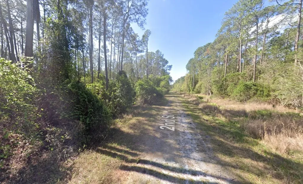 210 SE 2nd Street Georgetown FL 32139