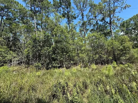 210 SE 2nd Street Georgetown FL 32139