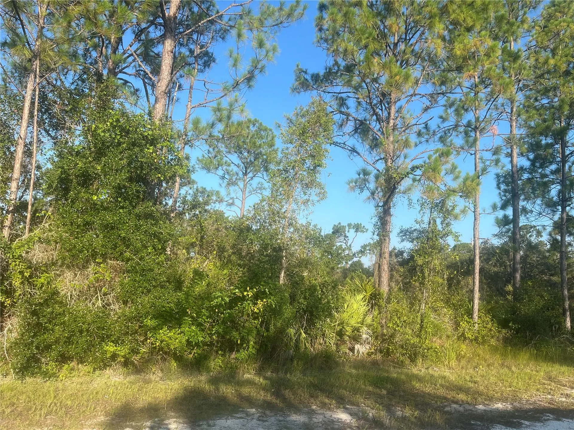 0000 Columbus Drive Indian Lake Estates FL 33855