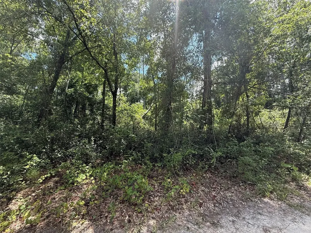313 Calhoun Avenue Florahome FL 32140