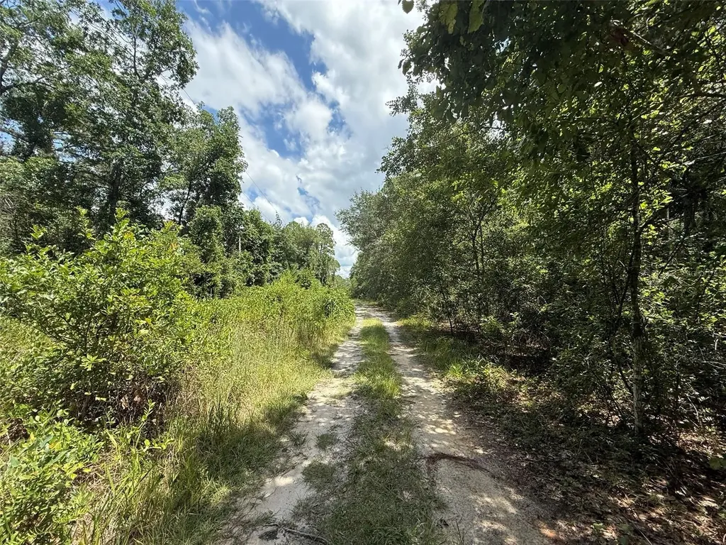 313 Calhoun Avenue Florahome FL 32140