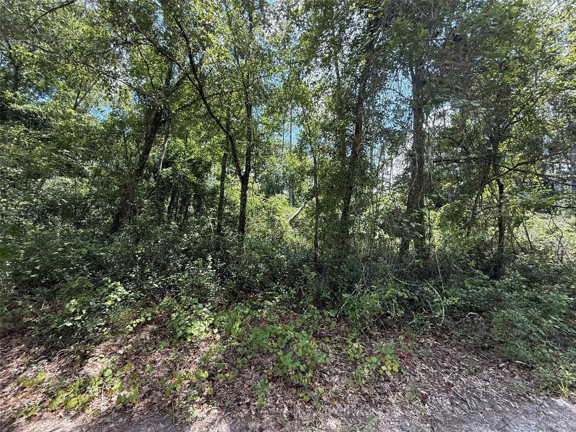 313 Calhoun Avenue Florahome FL 32140