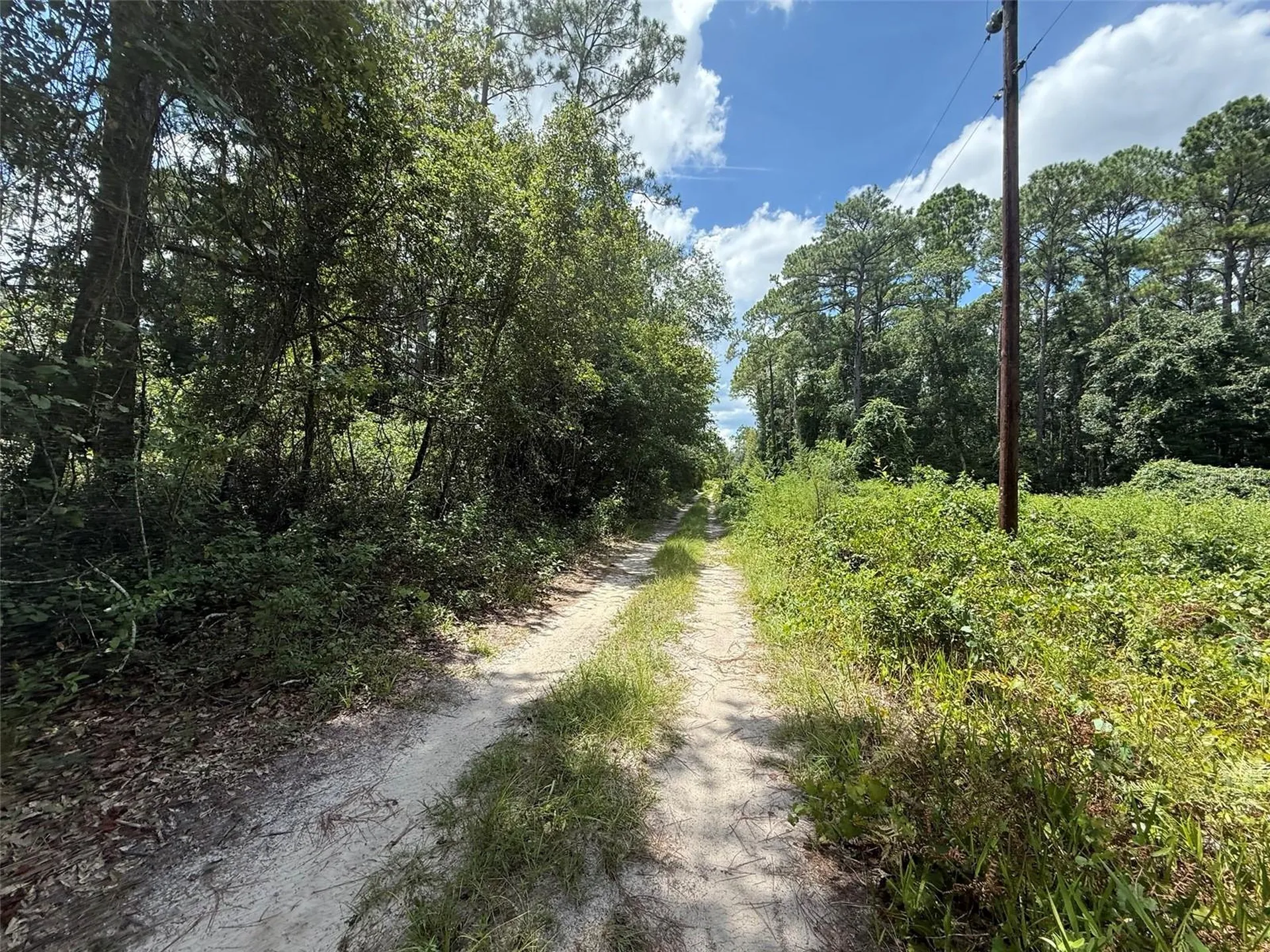 313 Calhoun Avenue Florahome FL 32140