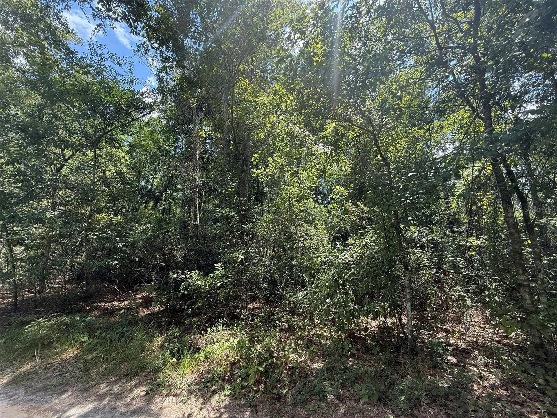 313 Calhoun Avenue Florahome FL 32140