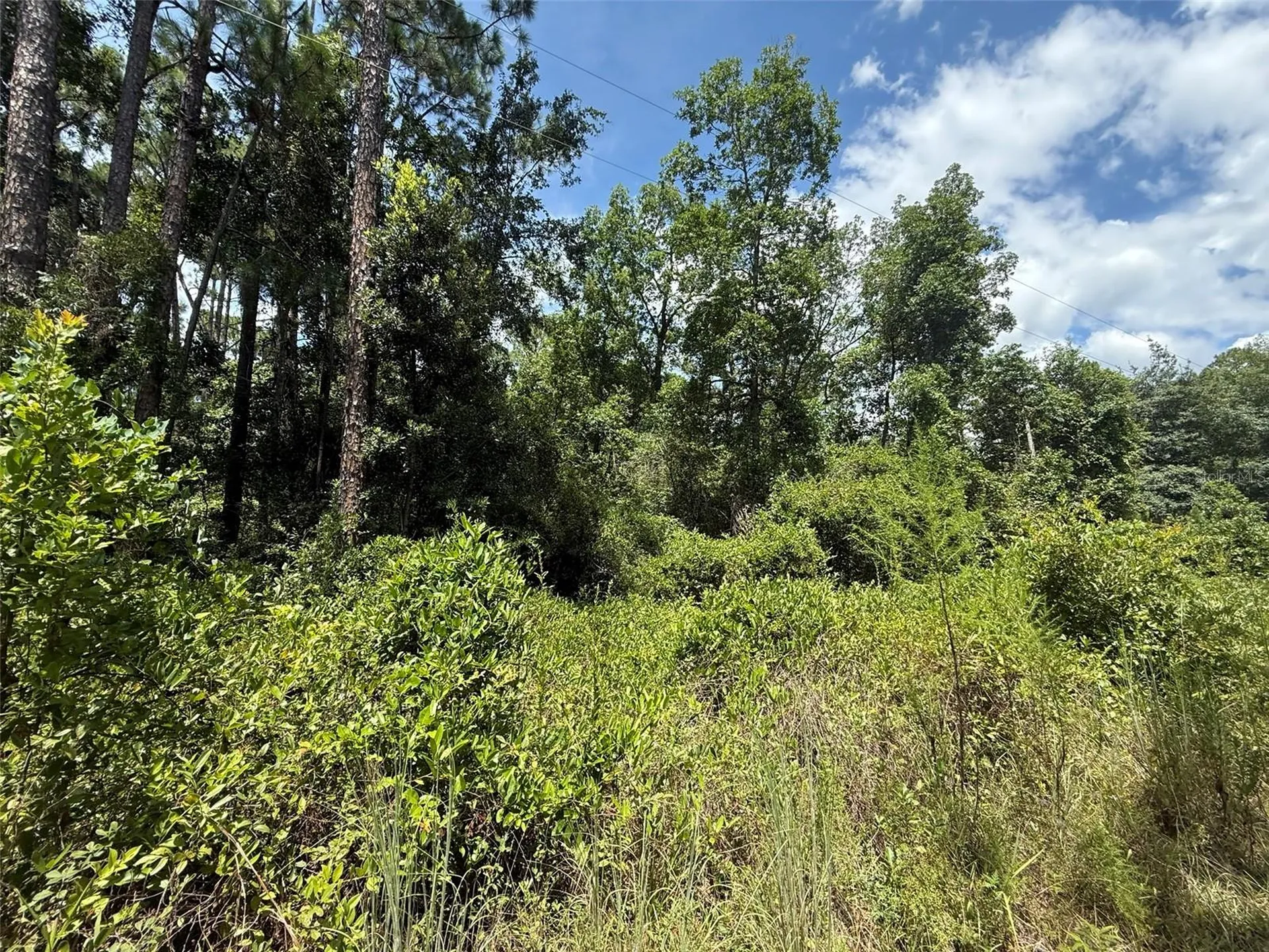 313 Calhoun Avenue Florahome FL 32140