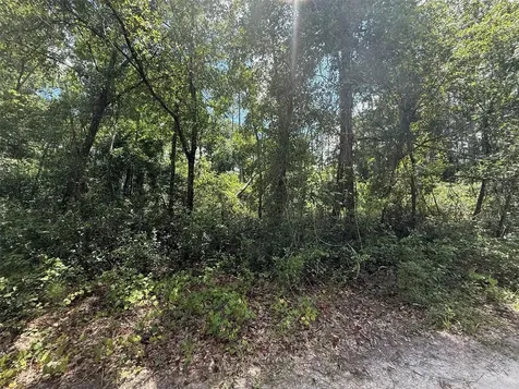 313 Calhoun Avenue Florahome FL 32140