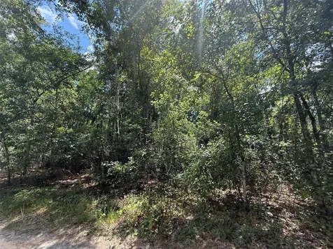 313 Calhoun Avenue Florahome FL 32140