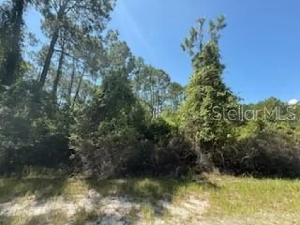 337 Palm Way Georgetown FL 32139