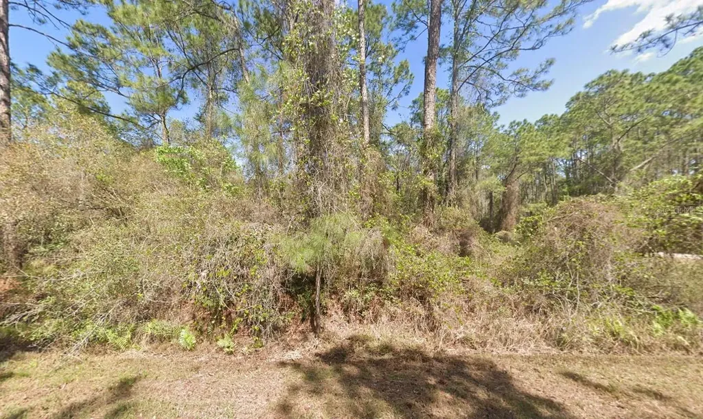 337 Palm Way Georgetown FL 32139