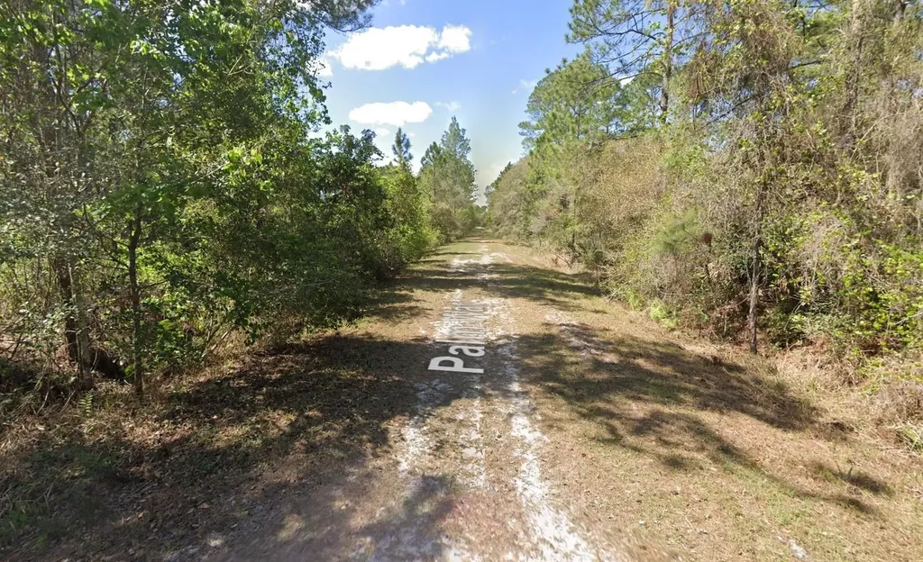 337 Palm Way Georgetown FL 32139