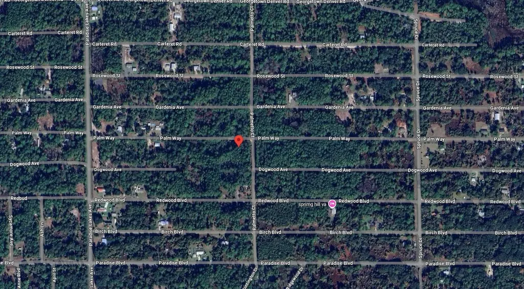 337 Palm Way Georgetown FL 32139