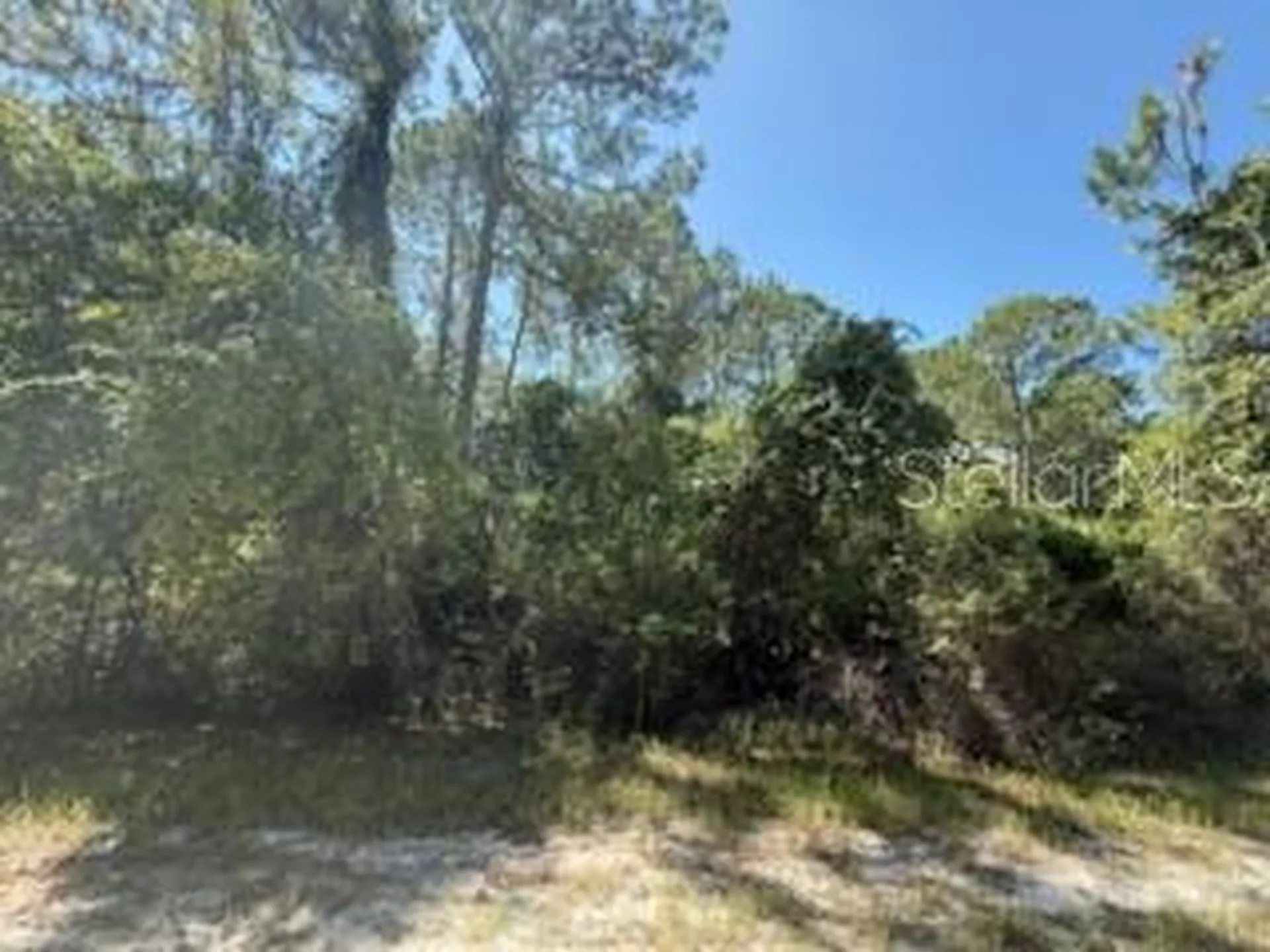337 Palm Way Georgetown FL 32139