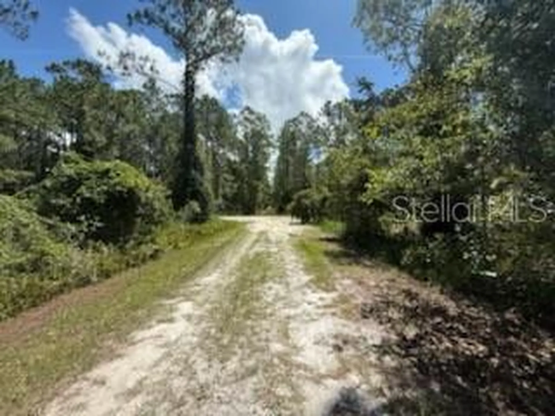 337 Palm Way Georgetown FL 32139