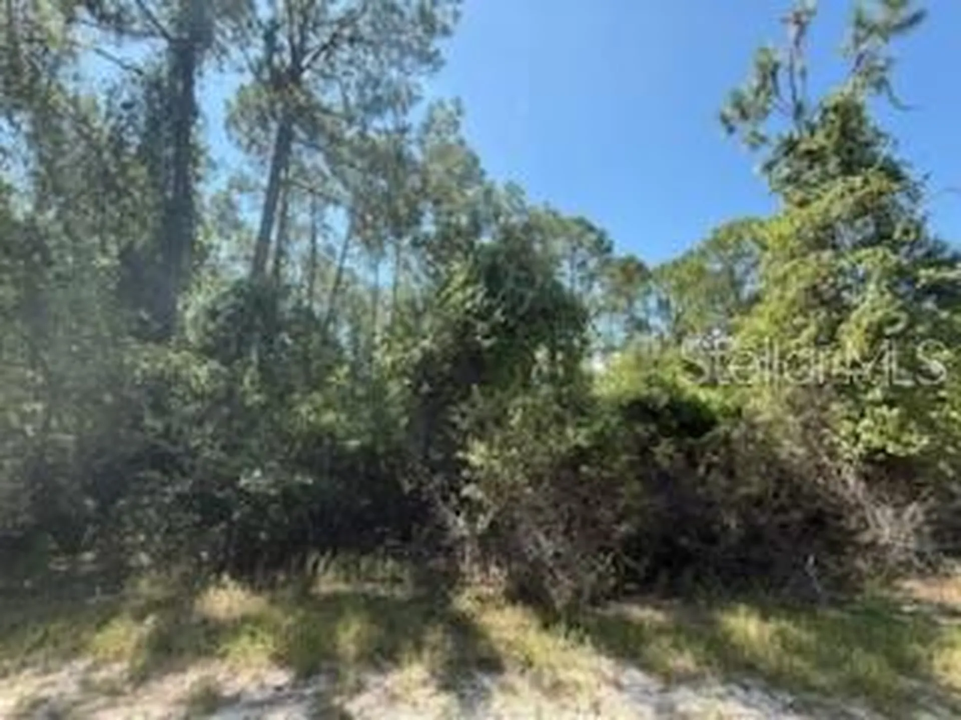 337 Palm Way Georgetown FL 32139