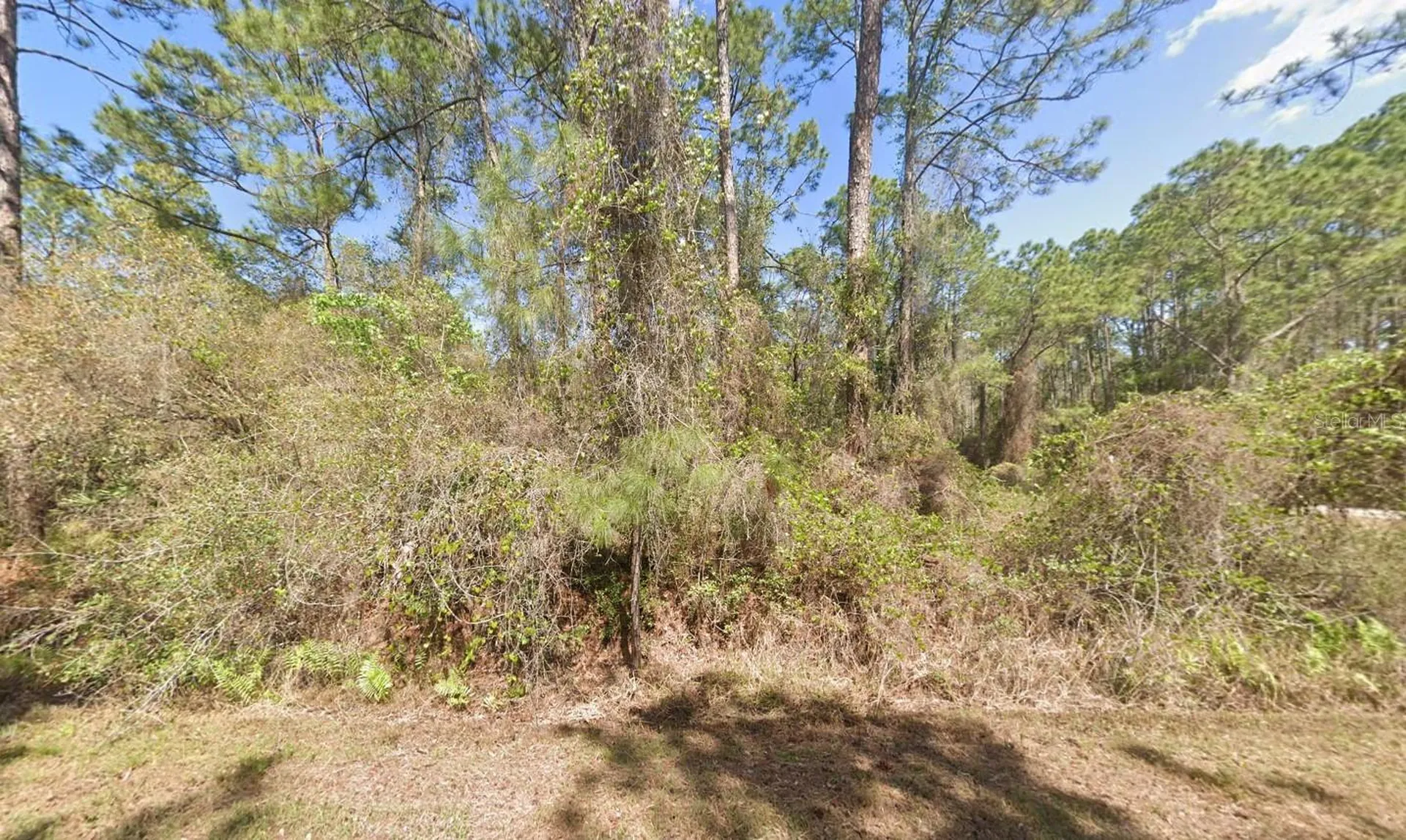 337 Palm Way Georgetown FL 32139