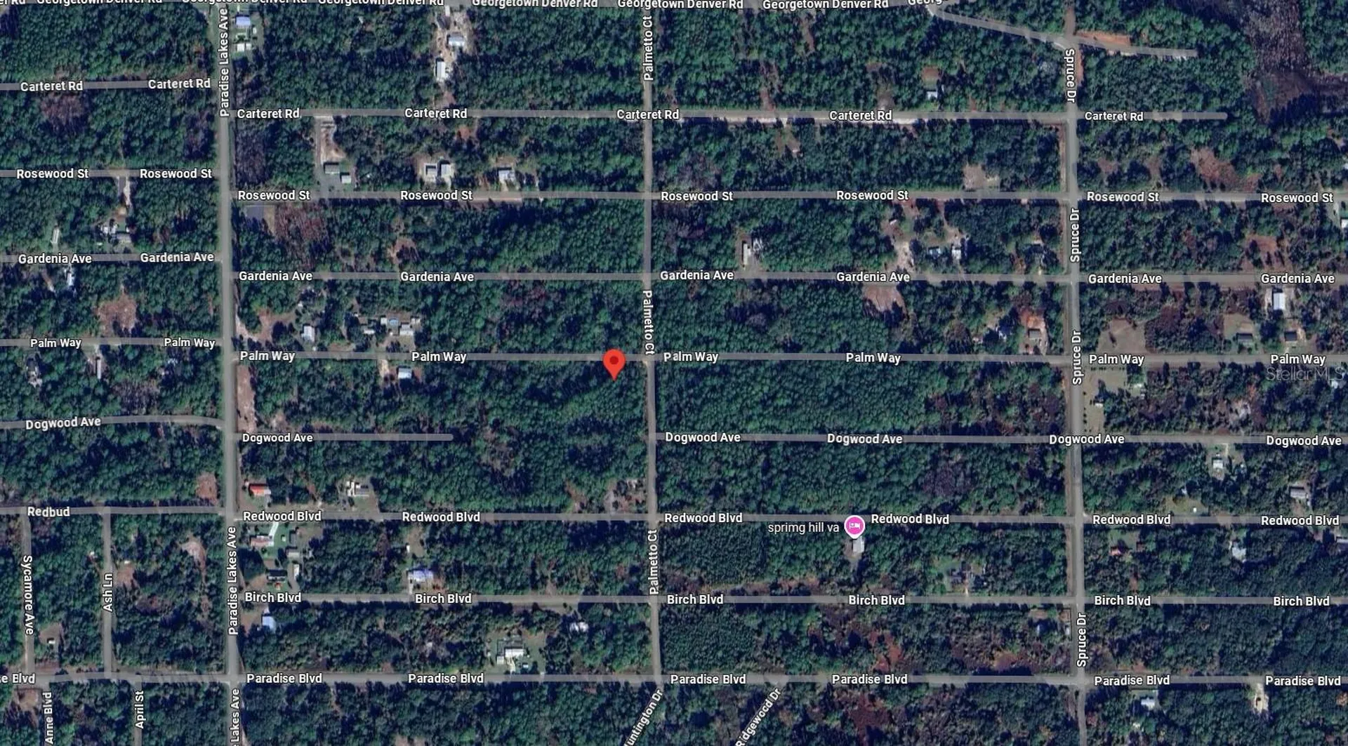 337 Palm Way Georgetown FL 32139