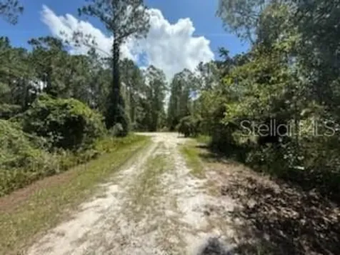 337 Palm Way Georgetown FL 32139