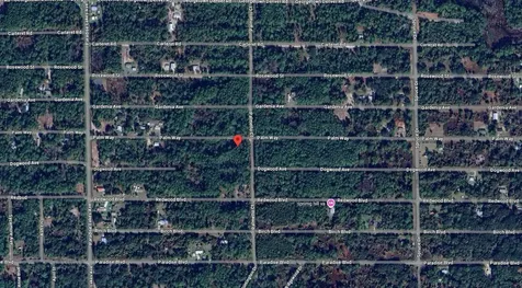 337 Palm Way Georgetown FL 32139