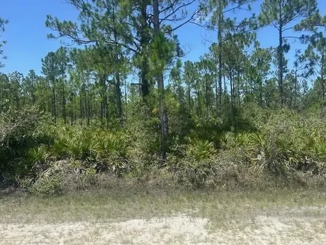 1018 Calendula Drive Indian Lake Estates FL 33855