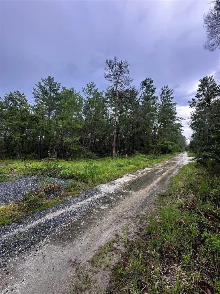 NE 112th Court Fort Mc Coy FL 32134