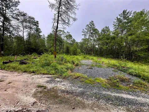 NE 112th Court Fort Mc Coy FL 32134