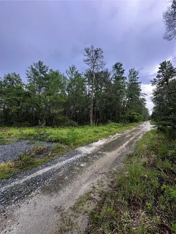 NE 112th Court Fort Mc Coy FL 32134