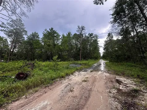 NE 112th Court Fort Mc Coy FL 32134