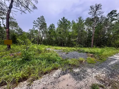 NE 112th Court Fort Mc Coy FL 32134