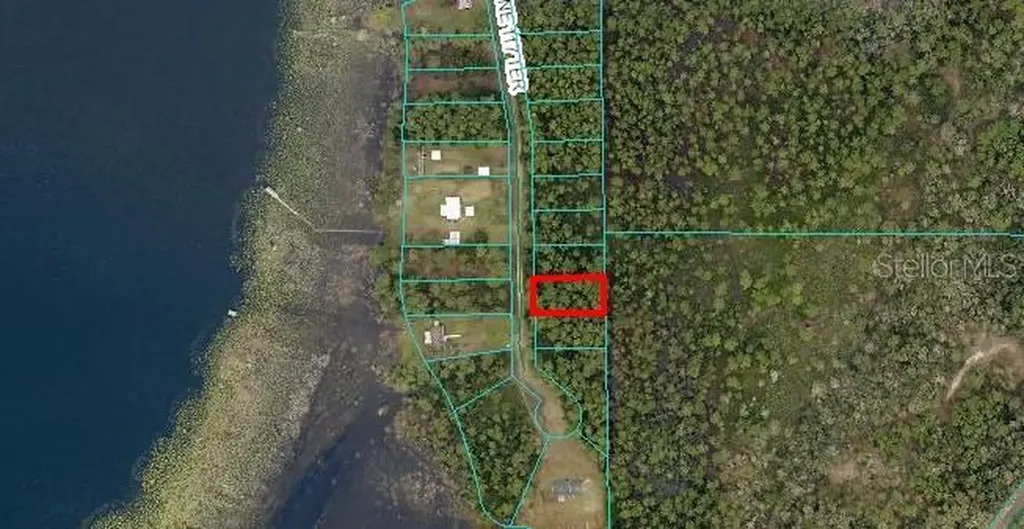 NE 117th Terrace Fort Mc Coy FL 32134