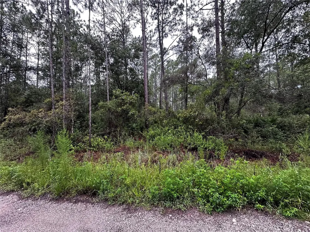 NE 66th Avenue Citra FL 32113
