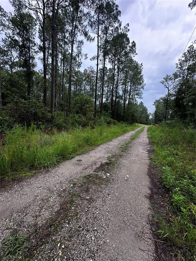 NE 66th Avenue Citra FL 32113