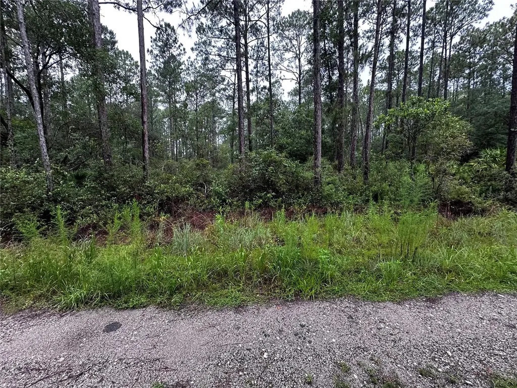 NE 66th Avenue Citra FL 32113
