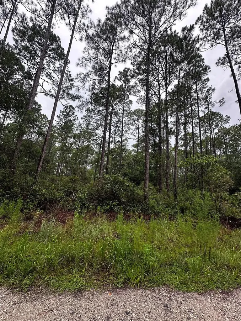 NE 66th Avenue Citra FL 32113