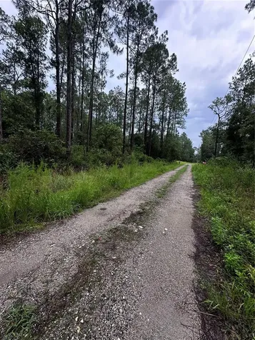 NE 66th Avenue Citra FL 32113