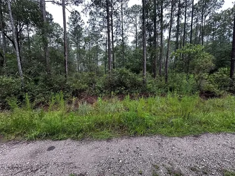 NE 66th Avenue Citra FL 32113
