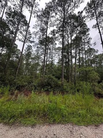 NE 66th Avenue Citra FL 32113