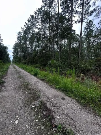 NE 66th Avenue Citra FL 32113
