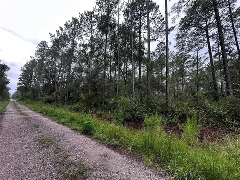 NE 66th Avenue Citra FL 32113