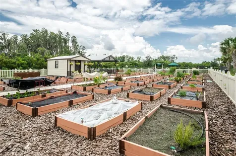 4947 Sandy Brook Circle Wimauma FL 33598