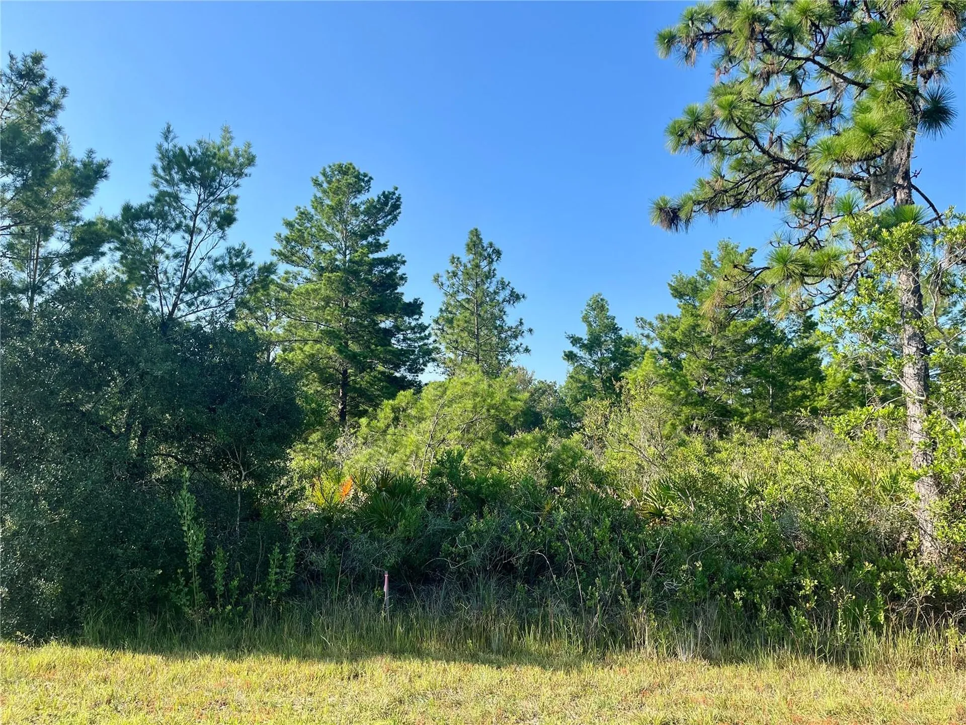 0000 Bougainville Drive Indian Lake Estates FL 33855