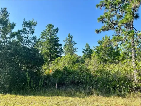 0000 Bougainville Drive Indian Lake Estates FL 33855