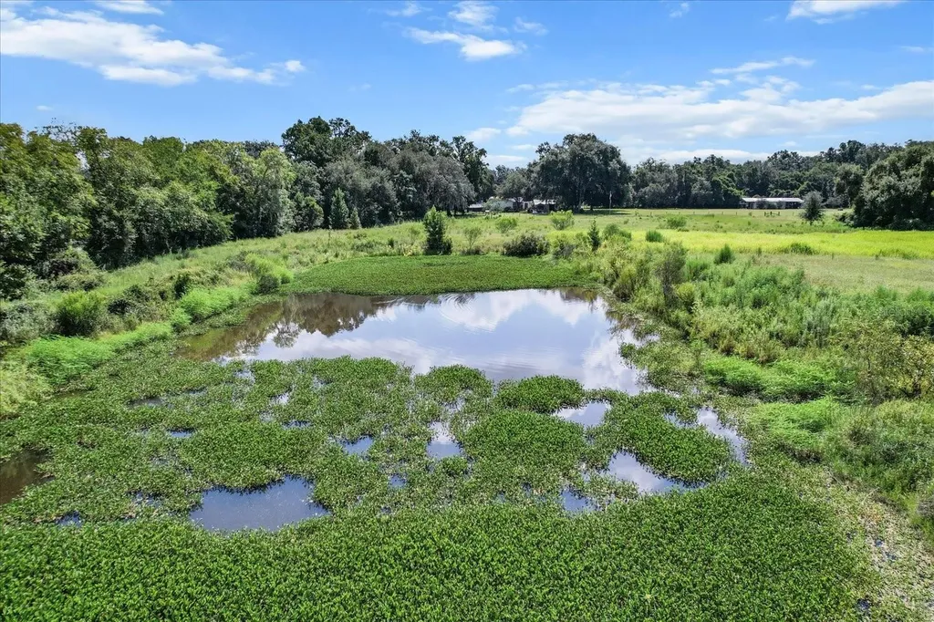 6177 Cr 625 Bushnell FL 33513