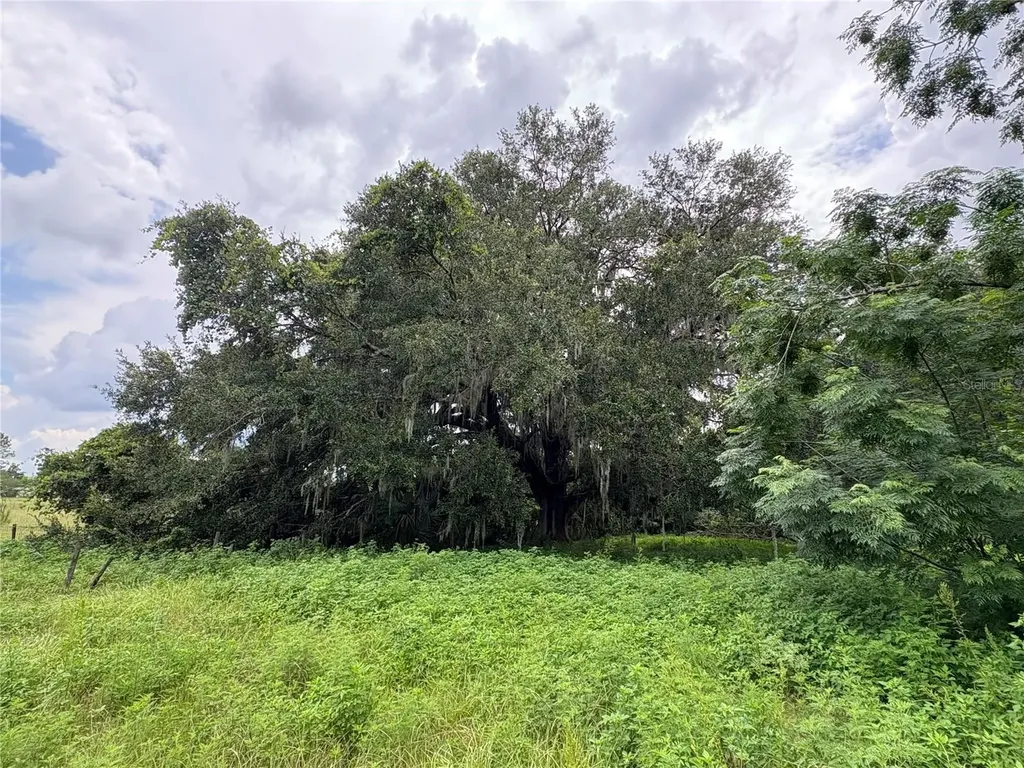 6177 Cr 625 Bushnell FL 33513