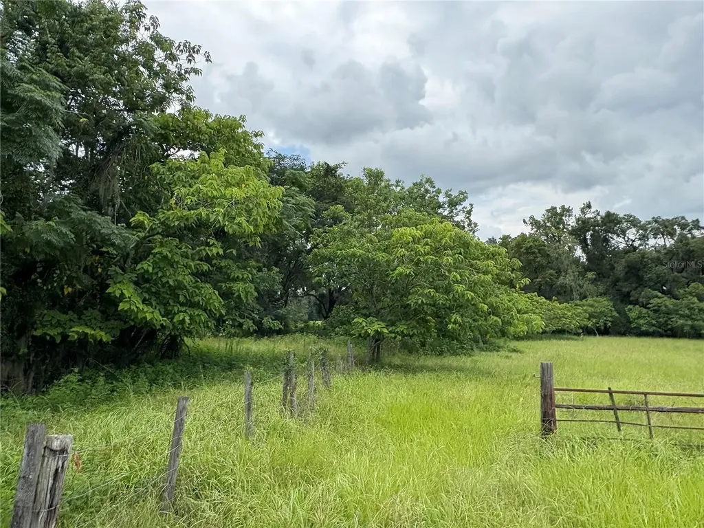 6177 Cr 625 Bushnell FL 33513
